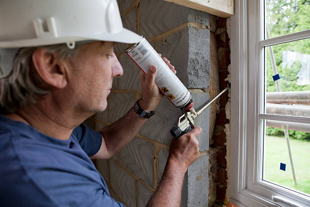 Best Wall Insulation Installation  in Brices Creek, NC